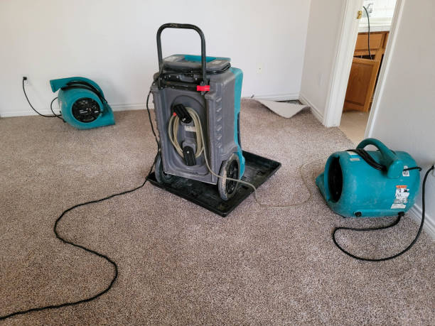 Best Water damage restoration near me  in Powderly, TX