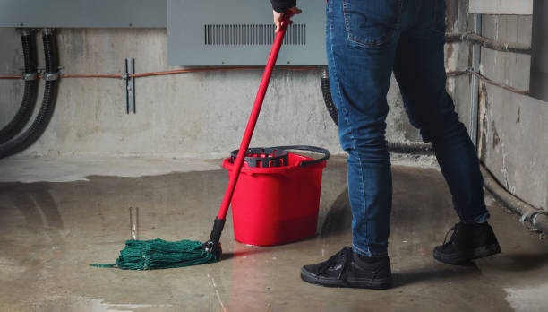 Best Fire Damage Restoration  in Powderly, TX