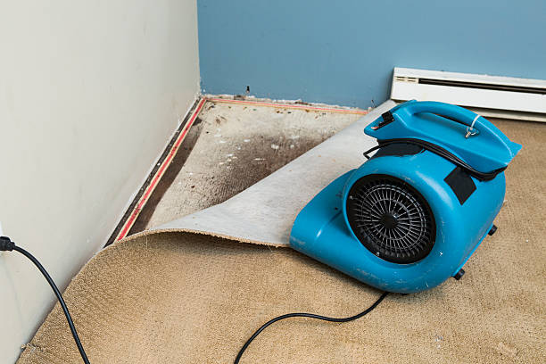 Carpet water damage restoration in Powderly, TX